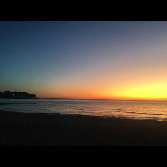 Meet your Posher, Leila - Picture 1 of 1